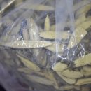 구구전복삼계탕 이미지