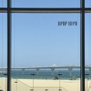 (주)동해관광 | 강원도 고성 신상여행지 동해 바다 위를 걷는 느낌! 송지호 바다하늘길 아이랑 가볼만한 곳