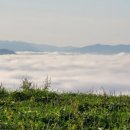 이박목장 이미지