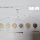 대용생약