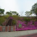 비슬산휴양림주차장매점 이미지