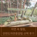 안면도자연휴양림 | 자연 속 힐링, 안면도자연휴양림 산책 후기