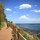 바다향기 블루 이미지