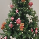 항플러스병원 | 명동 레이저 제모 후기(아포지플러스, 브라질리언)