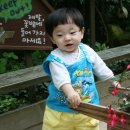 석규농장 Daum카페