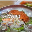 부흥 | [동해묵호맛집] 부흥횟집 물회 솔직 후기 주차장 폐쇄 정보 및 웨이팅 팁