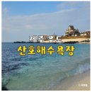 산호 | 제주 우도 가볼 만한 곳 산호해수욕장