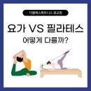 더블에스휘트니스 광교점 | 더블에스휘트니스 광교점에서 알아보는 요가와 필라테스의 차이점
