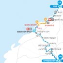 제주올레 이미지