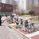 꿈나무교통나라 이미지