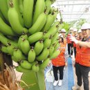 김동환농장 이미지