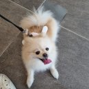 몽크네 이발관 네이버블로그