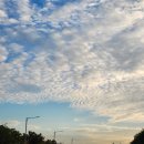 파리바게뜨(선학로데오점) 이미지