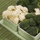 노박젠틀브이의원 이미지