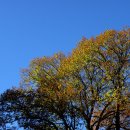 원예생활지도사 이미지