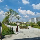 강아지테마미용실 이미지