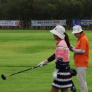 파크골프 이미지