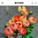 팜팜스토어 이미지