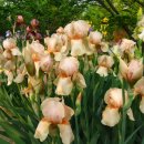 음악으로 떠나는 세계여행 이미지