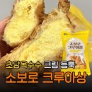 GS25강릉초당점 | 소보로크루아상 초당옥수수 후기 | gs25 편의점 신상 빵