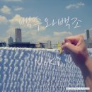 노키(NOKI)