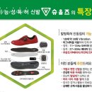 슈올즈구로
