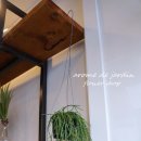 선은식농장 이미지