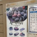 울타리없는만두 이미지