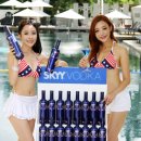 스카이 유통 이미지