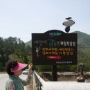 베짱이농원