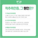 자이언트헬스 이미지