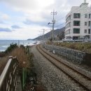 정동진1리 이미지