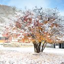 강천산 길 이미지