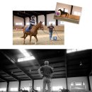 연천승마공원 이미지