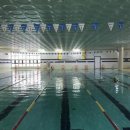 횡성군 체육관 수영장 이미지
