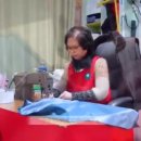 진의상실수선