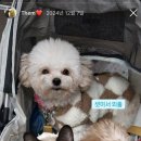 옹기종기 이미지