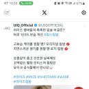 브이모멘텀