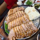 육대장 티스토리
