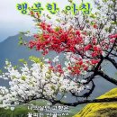 팔각정공원 Daum카페