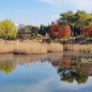 한밭수목원 이미지