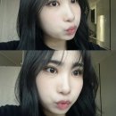 도그픽 | Have the courage to become a shining star.