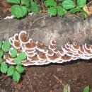 천마산노래연습장 이미지