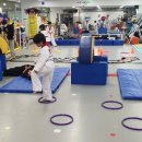 무궁화태권도체육관 이미지