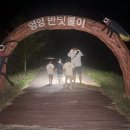 영양에코둥지 이미지