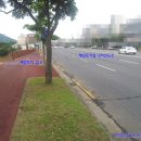 삼양공인중개사사무소 이미지