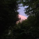 분홍색 구름과 상현달 그사이.... 이미지