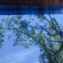 여치펜션민박 이미지