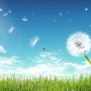 민들레요양병원 이미지