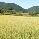 대산마을 이미지